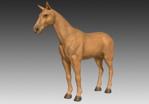 Horse  preview image